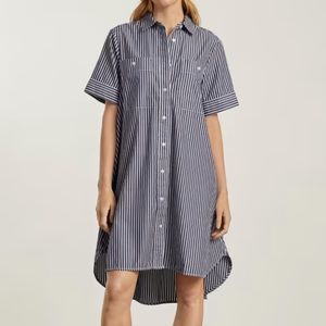 Everlane The Daytripper Shirtdress